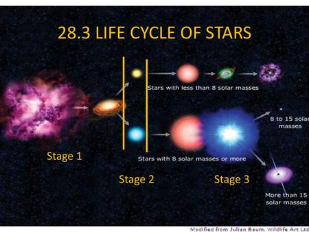 28.3 LIFE CYCLE OF STARS Stage 1 Stage 2 Stage 3.