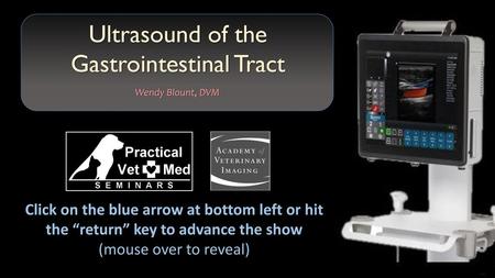 Ultrasound of the Gastrointestinal Tract