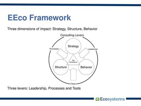 EEco Framework Three dimensions of impact: Strategy, Structure, Behavior Three levers: Leadership, Processes and Tools.