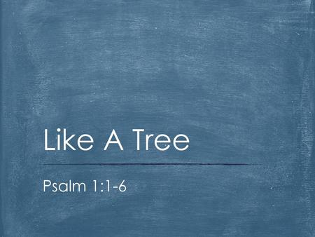 Like A Tree Barbara Walters asked Katharine Hepburn what kind of tree she would be. Psalm 1:1-6.