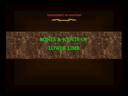 DEPARTMENT OF ANATOMY BONES & JOINTS OF LOWER LIMB.