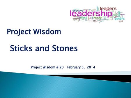 Project Wisdom Sticks and Stones Project Wisdom # 20 February 5, 2014.