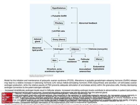 The common denominator is development of a self-perpetuating noncyclic hormonal pattern. Source: Polycystic Ovarian Syndrome and Hyperandrogenism, Williams.