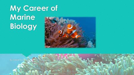 My Career of Marine Biology