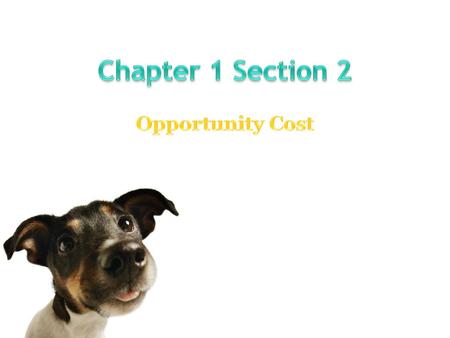 Chapter 1 Section 2 Opportunity Cost.