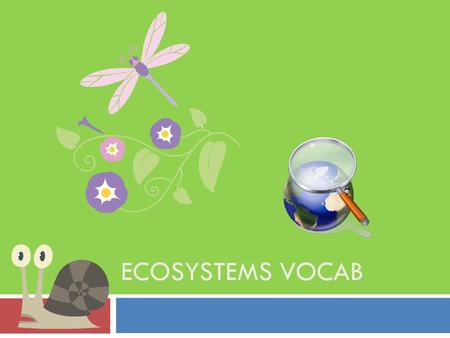 ECOSYSTEMS VOCAB.