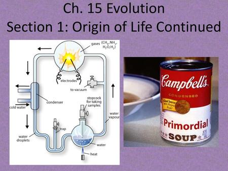 Ch. 15 Evolution Section 1: Origin of Life Continued