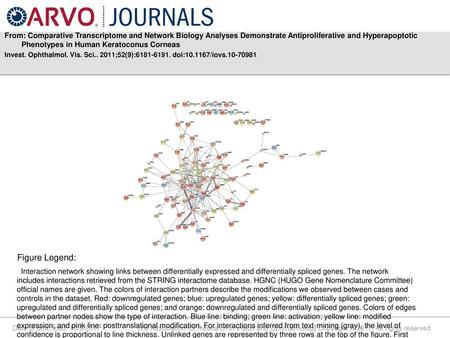 From: Comparative Transcriptome and Network Biology Analyses Demonstrate Antiproliferative and Hyperapoptotic Phenotypes in Human Keratoconus Corneas Invest.