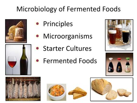 Microbiology of Fermented Foods