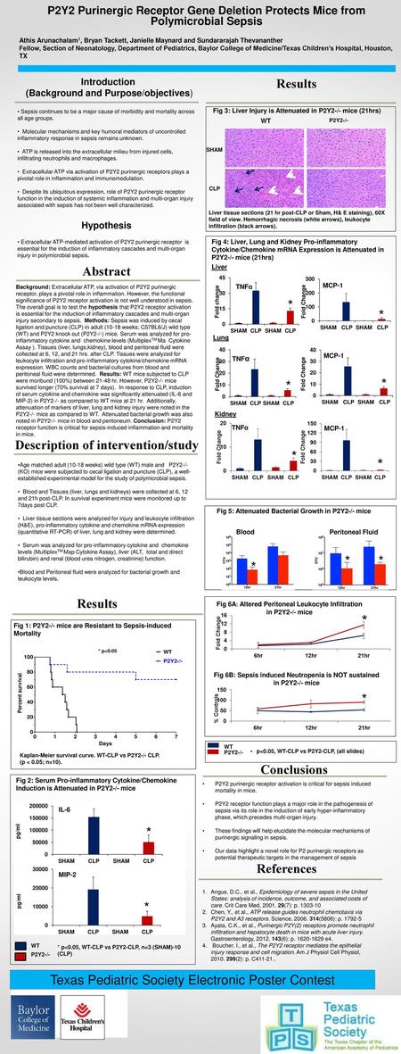 * * * * * * * Results Abstract Description of intervention/study