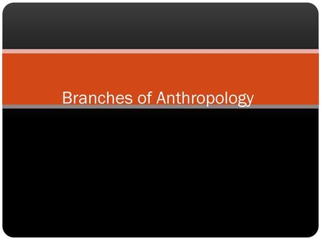 Branches of Anthropology