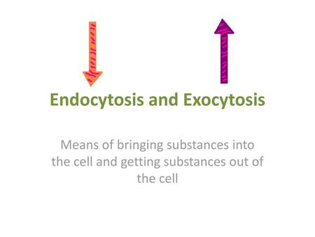 Endocytosis and Exocytosis