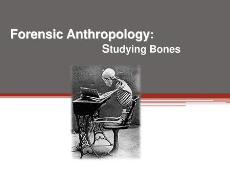 Forensic Anthropology: Studying Bones