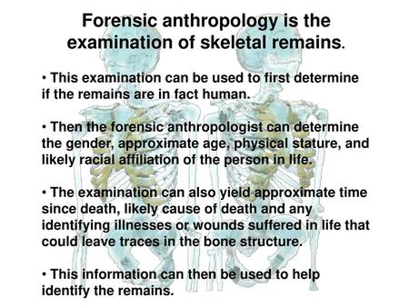 Forensic anthropology is the examination of skeletal remains.