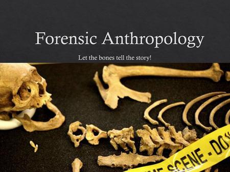 Forensic Anthropology