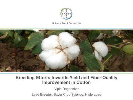 Breeding Efforts towards Yield and Fiber Quality Improvement in Cotton