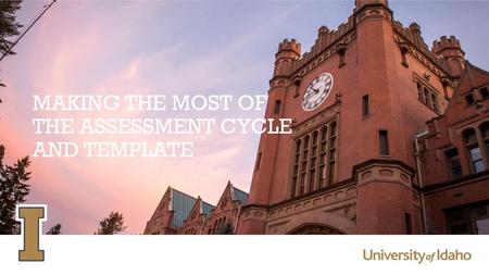 Making the most of the assessment cycle and template