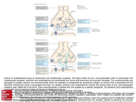 Degradation. At the postsynaptic neuron tropolone inhibits the enzyme catechol-O-methyltransferase (COMT), which inactivates norepinephrine (6a). Normetanephrine.