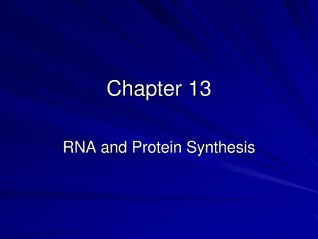 RNA and Protein Synthesis