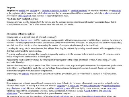 Enzymes Enzymes are proteins that catalyze (i.e., increase or decrease the rates of) chemical reactions. In enzymatic reactions, the molecules at the.