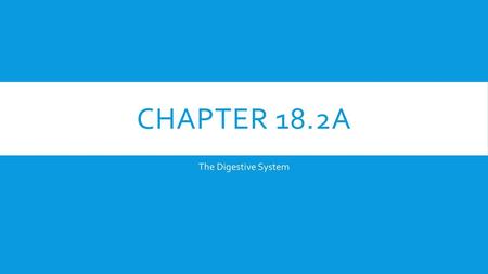 Chapter 18.2a The Digestive System.