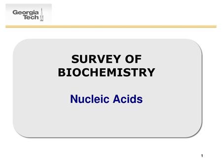 SURVEY OF BIOCHEMISTRY Nucleic Acids