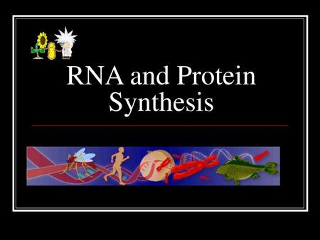 RNA and Protein Synthesis