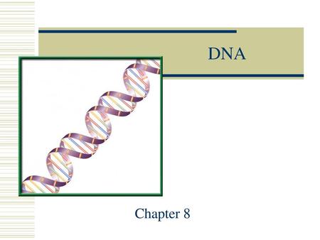 DNA Chapter 8.