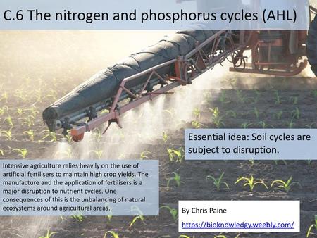 C.6 The nitrogen and phosphorus cycles (AHL)