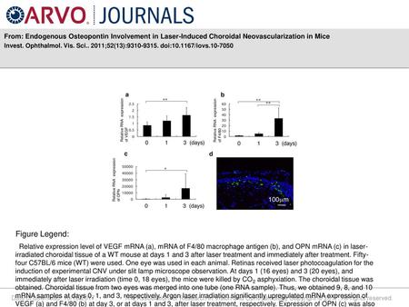 Invest. Ophthalmol. Vis. Sci ;52(13): doi: /iovs Figure Legend: