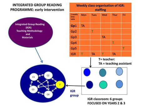 INTEGRATED GROUP READING PROGRAMME: early intervention