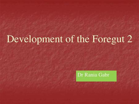 Development of the Foregut 2