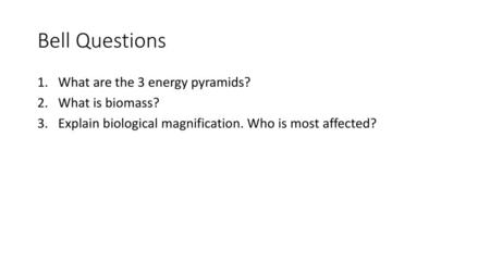 Bell Questions What are the 3 energy pyramids? What is biomass?