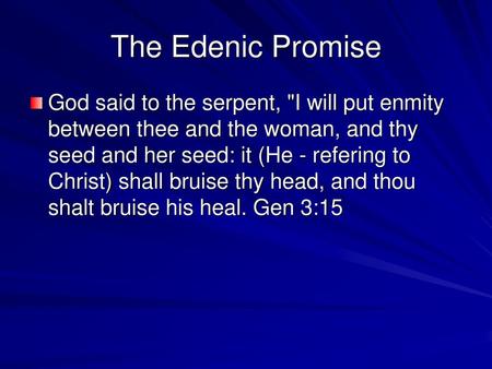 The Edenic Promise God said to the serpent, I will put enmity between thee and the woman, and thy seed and her seed: it (He - refering to Christ) shall.