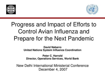 David Nabarro United Nations System Influenza Coordination