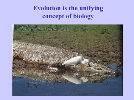 Evolution is the unifying concept of biology