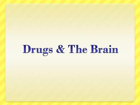 Drugs & The Brain.