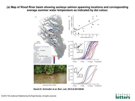 (a) Map of Wood River basin showing sockeye salmon spawning locations and corresponding average summer water temperature as indicated by dot colour. (a)