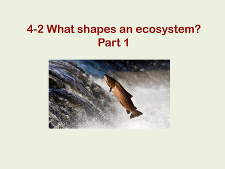 4-2 What shapes an ecosystem? Part 1