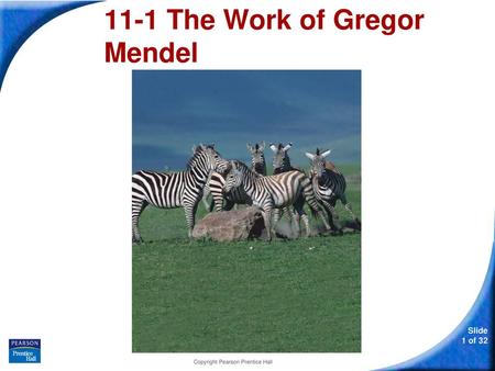 11-1 The Work of Gregor Mendel