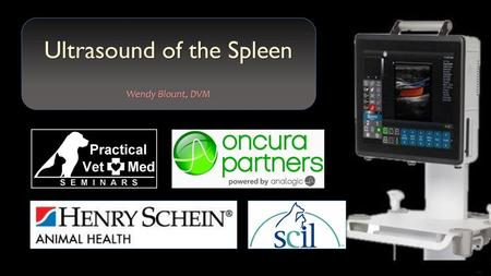 Ultrasound of the Spleen