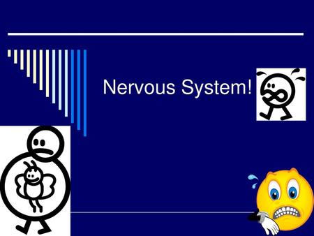 Nervous System!.