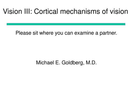 Vision III: Cortical mechanisms of vision