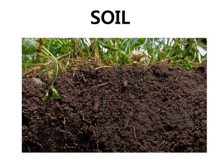 SOIL.