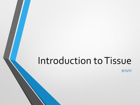 Introduction to Tissue