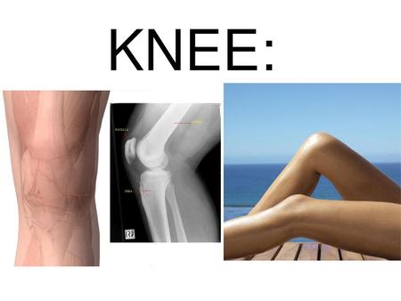 KNEE:.