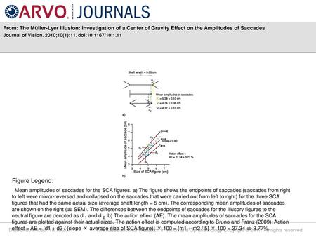 From: The Müller-Lyer Illusion: Investigation of a Center of Gravity Effect on the Amplitudes of Saccades Journal of Vision. 2010;10(1):11. doi:10.1167/10.1.11.