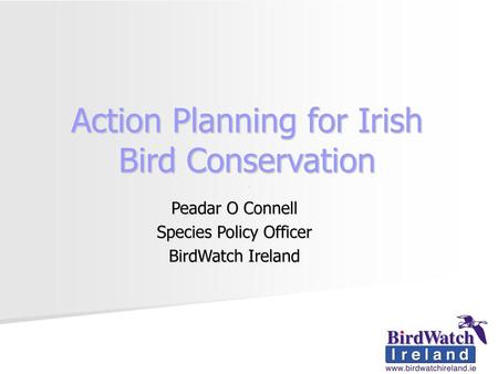 Action Planning for Irish Bird Conservation