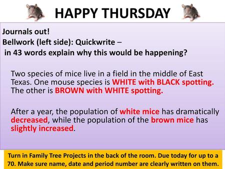 HAPPY THURSDAY Journals out! Bellwork (left side): Quickwrite – in 43 words explain why this would be happening? Two species of mice live in a field in.