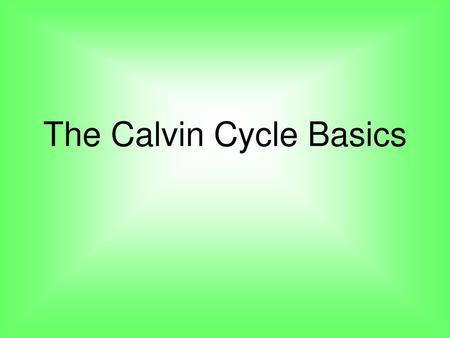 The Calvin Cycle Basics